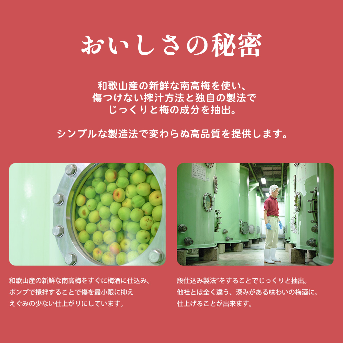 中野BCでは、シンプルな製法で常に高品質な梅酒作りをしています。